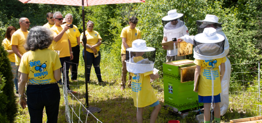 Beekeeps at Excel Dryers Honey Event